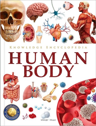 Knowledge encyclopedia human - knowledge,