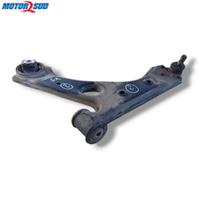 Bracci Oscillanti Sx per Fiat Grande Punto anno 2005