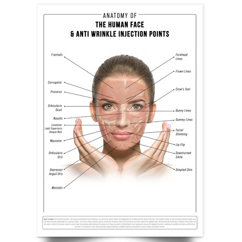 Poster anatomia viso - anatomia,