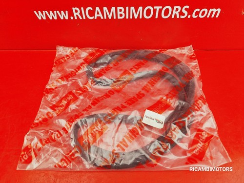 Ap8220407 guarnizione bauletto - ap8220407,