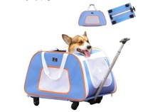 Pecute trasportino per - per, animali