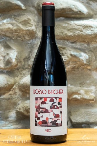 Vendemmia 2024 vino - 2024,