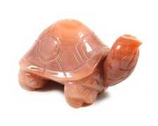 Tartaruga in Corniola