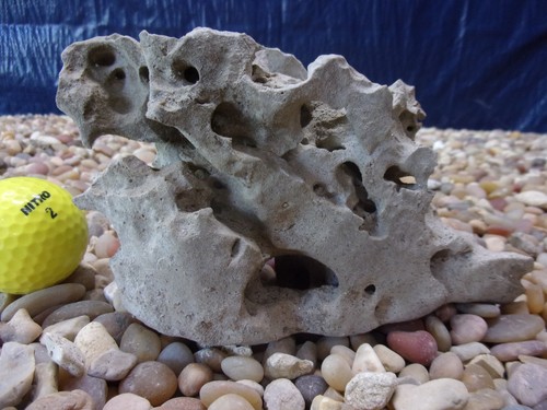 Texas holey rock - texas/tn,