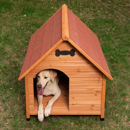 Cuccia per cani - in,