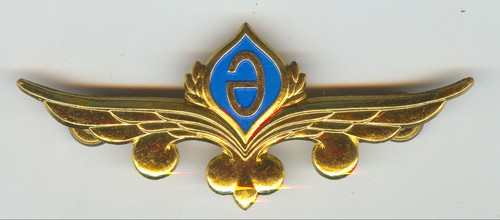 Distintivo air kazakhstan - distintivo,