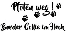 Border collie adesivi auto - adesivi,