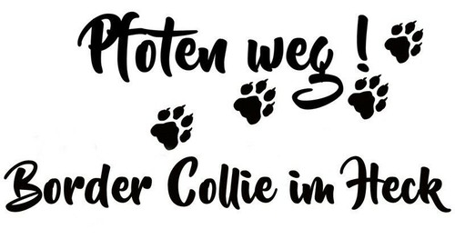 Border collie adesivi auto - adesivi,