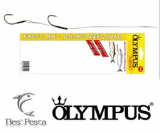 OLYMPUS - FINALE ACCIAO 2 AMI