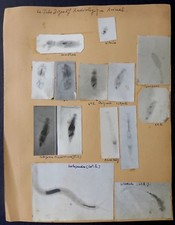 Radiographie X Ray - Tube
