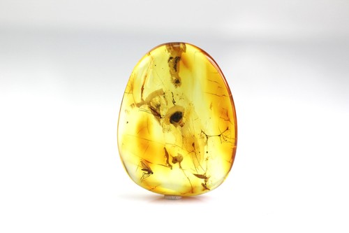 Pietra rara ambra naturale - , del