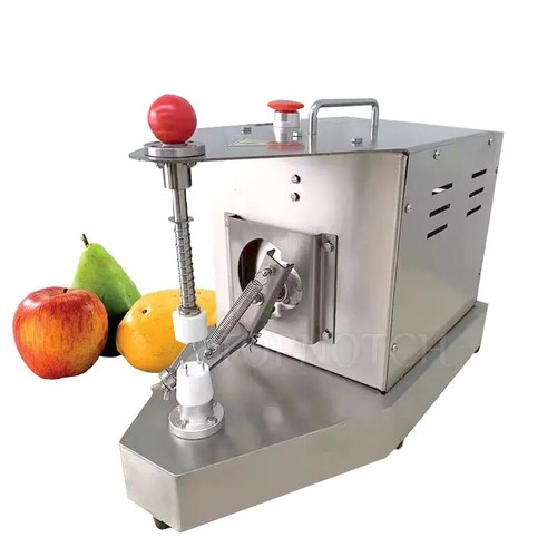 Electric 110v 220v fruit - electric,