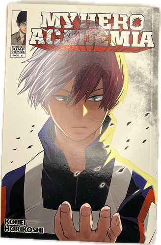 Hero academia manga - hero,