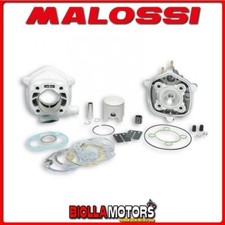 318460 GRUPPO TERMICO MALOSSI