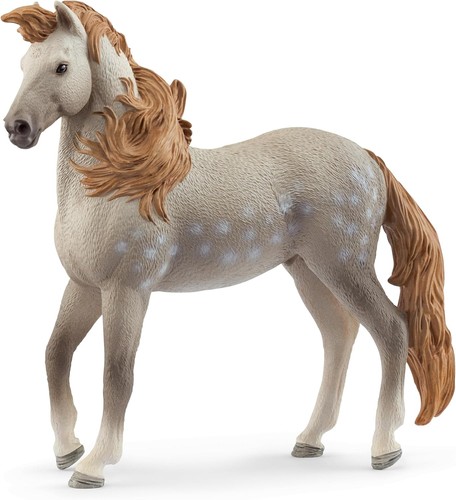 Horse club 14895 cavallo - club,