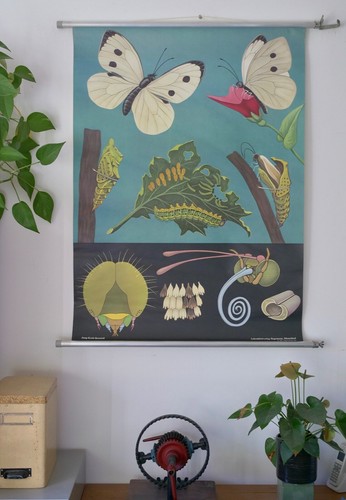 Vintage cartolina da - cartolina,