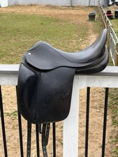 17.5” Amerigo Cortina +1 And