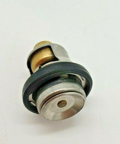 Termostato per fuoribordo