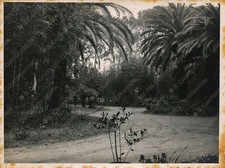 1934 LATINA Villa di Fogliano