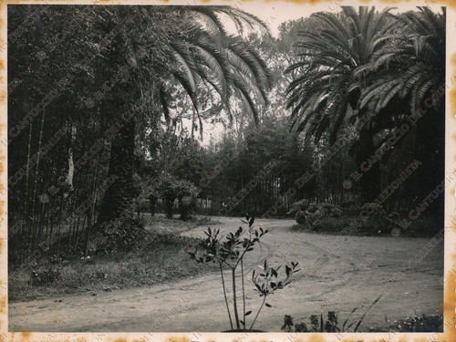 1934 latina villa - 1934, fogliano