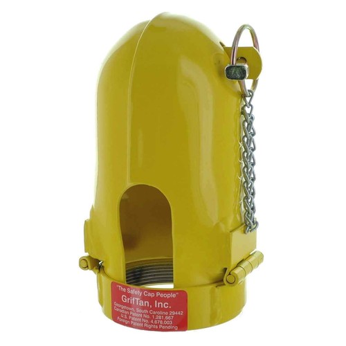 Griftan protezione regolatore - griftan,