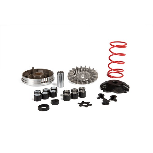 Variatore malossi multivar - variatore,