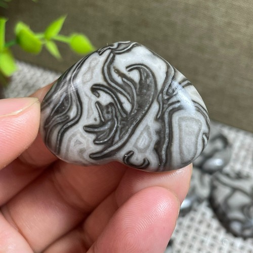 1pz ingrosso picasso - picasso, diaspro
