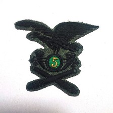 FREGIO ALPINI ARTIGLIERIAPER CAPPELLO ALPINO 