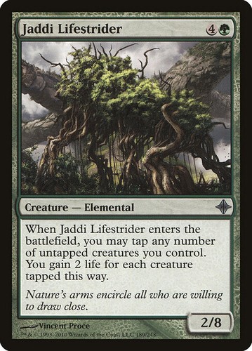 Jaddi lifestrider foil - lifestrider,