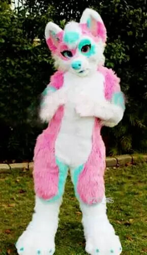 Costume lungo pelliccia husky