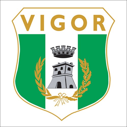 Adesivo sticker vigor lamezia - vigor,