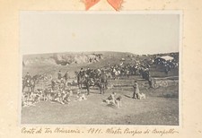 Foto Ponte di Tor Chiesaccia