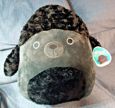 Squishmallow JETTWARD Barboncino Nero DIFFICILE DA TROVARE NUOVO CON ETICHETTE 15" **LEGGI BENE**