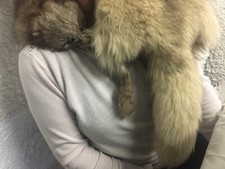 Collo di Volpe vera vintage