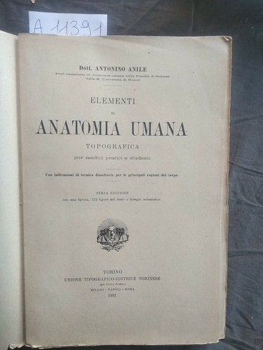 Elementi anatomia umana - elementi,