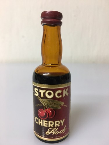 Mignon miniature stock cherry - miniature,