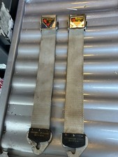 Coppia cinture di sicurezza e