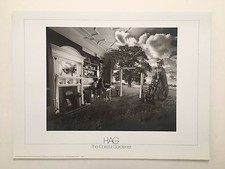 IL GIARDINIERE ATTENTO, FOTO