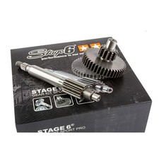 RAPPORTI PRIMARI S6 13/43