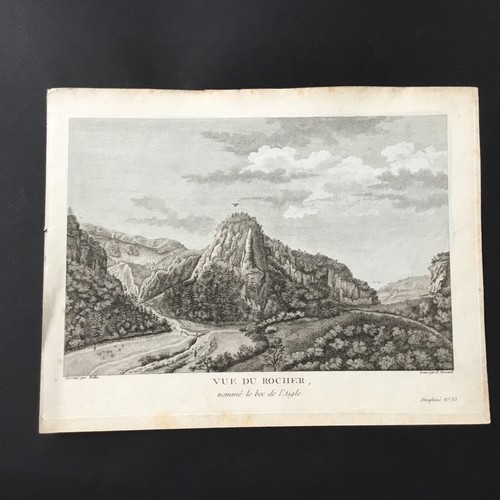 Incisione 1787 delfino vista - incisione,