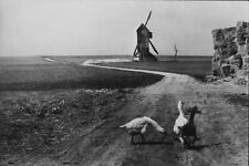 Henri Cartier-Bresson | Beauce, France, 1961
