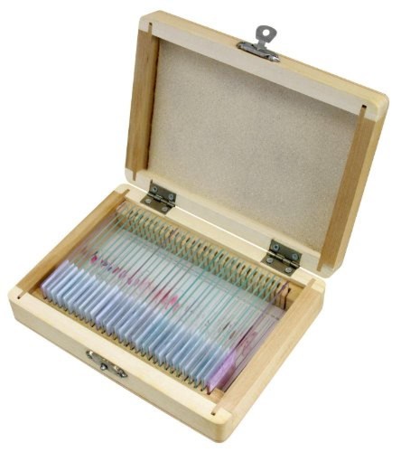 Bresser 5985000 vetrini - bresser,