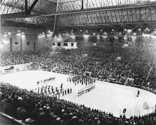 Toronto maple leaf - toronto,