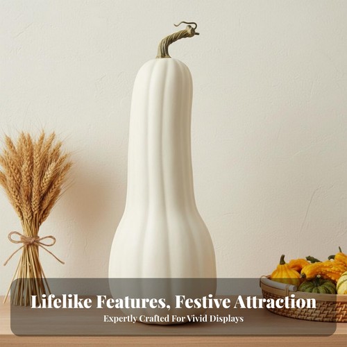 Modello zucca gigante - di,