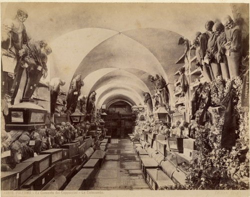 Albumen fotografico palermo - albumen,