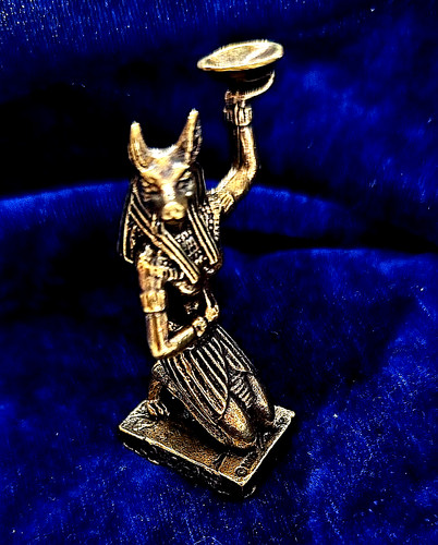Perdite visone anubis - perdite, 1x