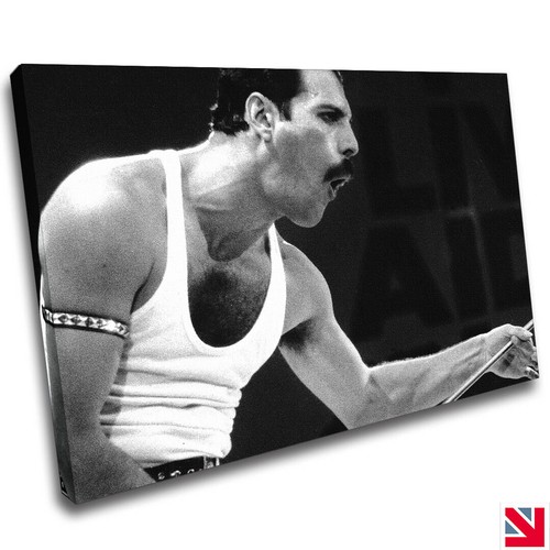 Freddie mercury music - freddie, canvas