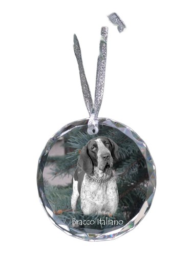 Bracco italiano collana - bracco, con