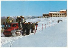 PASSO DELLO STELVIO -BOLZANO- SCUOLA NAZ. ESTIVA DI SCI - GATTO DELLE NEVI -4594