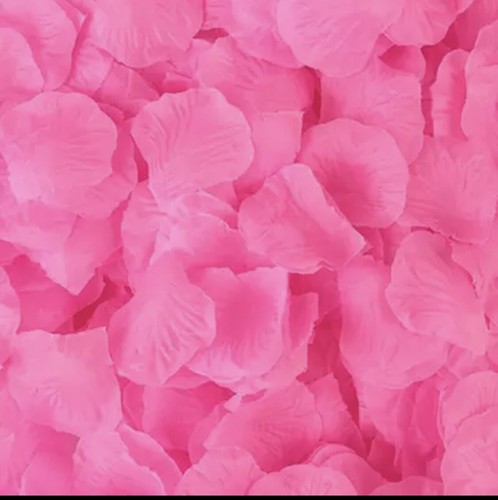 200 petali rosa - 200,